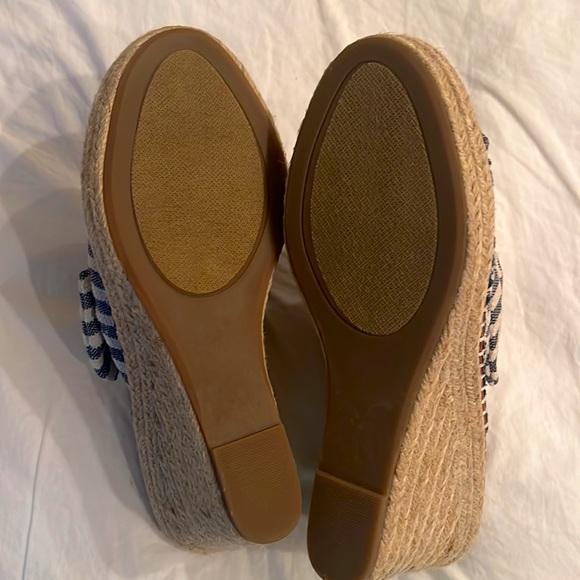 Sugar wedges size 10 - Picture 3 of 6